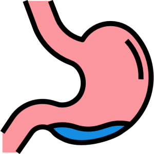 ostéopathie viscérale